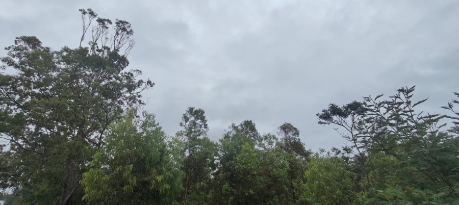 0 Bedroom Property for Sale in Greenbushes Eastern Cape